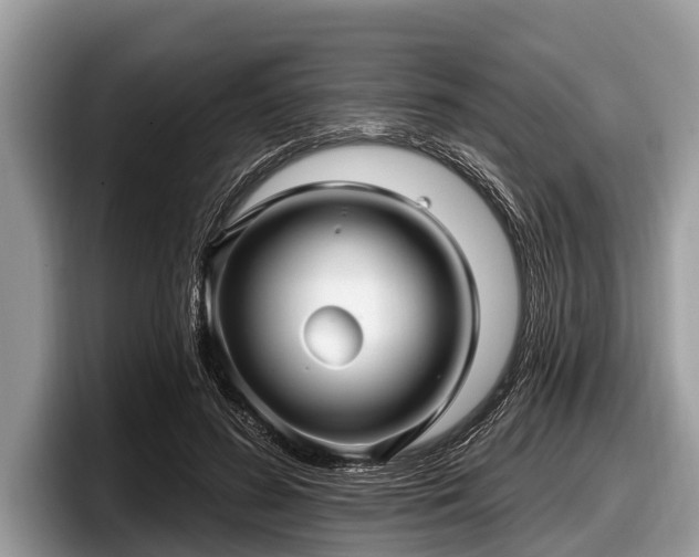 X0000097870596200803211316