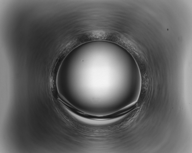 X0000097870597200803211316