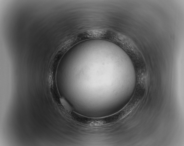 X0000097870599200803211316