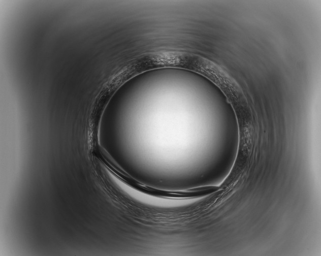 X0000097870600200803211316