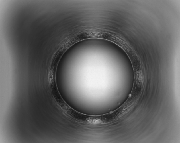 X0000097870602200803211316