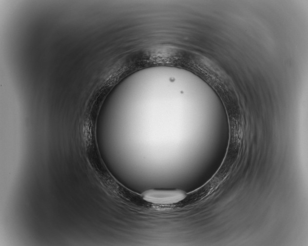 X0000097870603200803211316