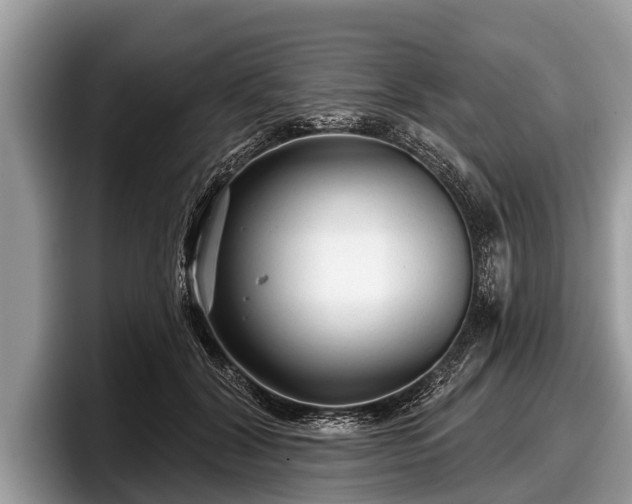 X0000097870604200803211316