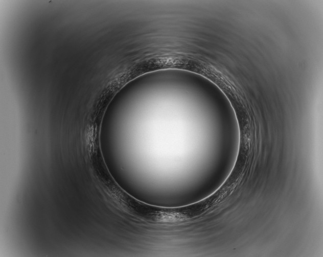 X0000097870605200803211316