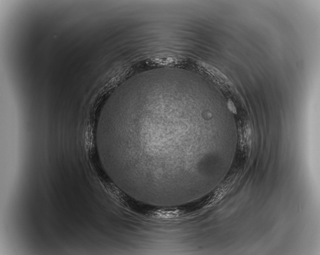 X0000097870606200803211316