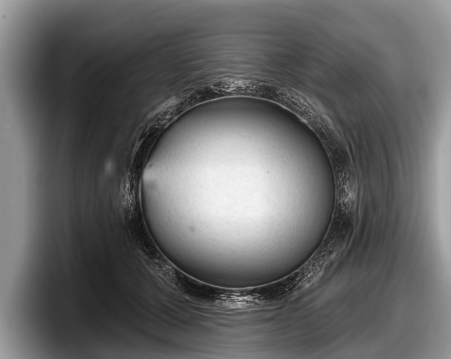 X0000097870607200803211315