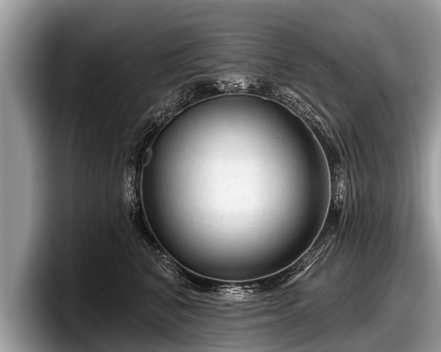 X0000097870616200803211315