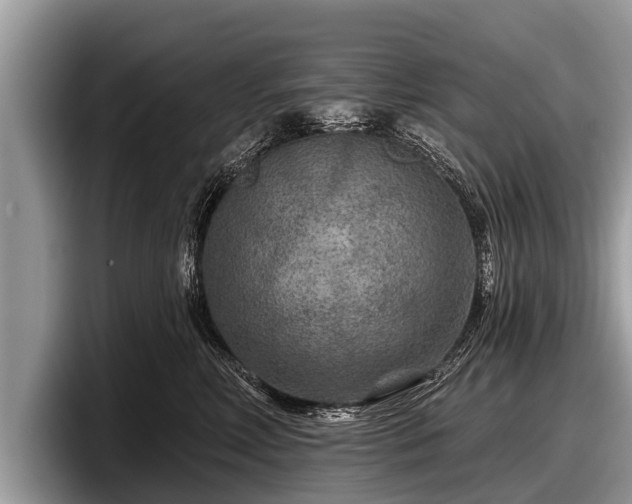 X0000097870618200803211315