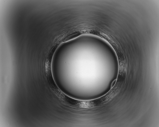 X0000097870623200803211315