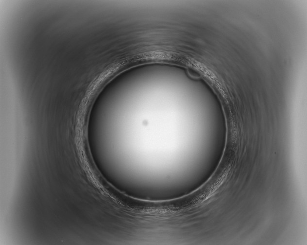 X0000097870625200803211315