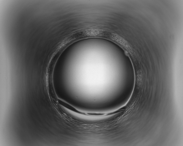 X0000097870626200803211315