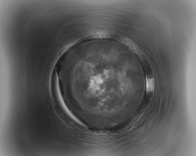 X0000097870627200803211315
