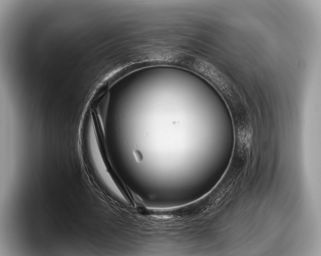 X0000097870628200803211315