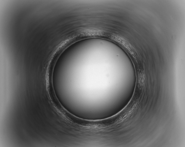 X0000097870629200803211315