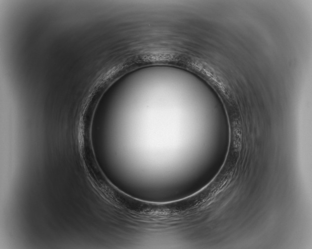 X0000097870631200803211315
