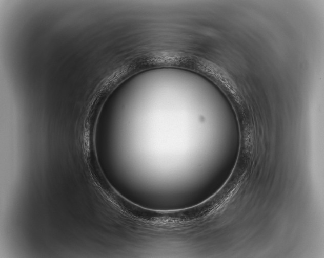 X0000097870633200803211315