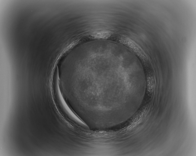 X0000097870634200803211315