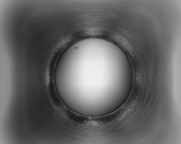 X0000097870635200803211315