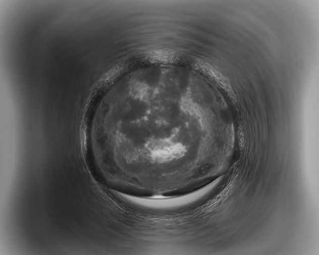 X0000097870637200803211315