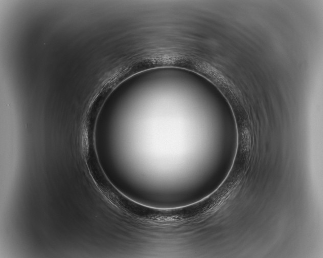 X0000097870638200803211315