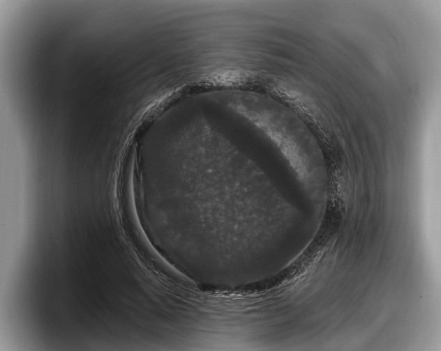 X0000097870640200803211315