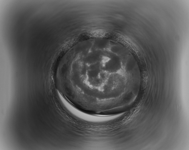 X0000097870641200803211315