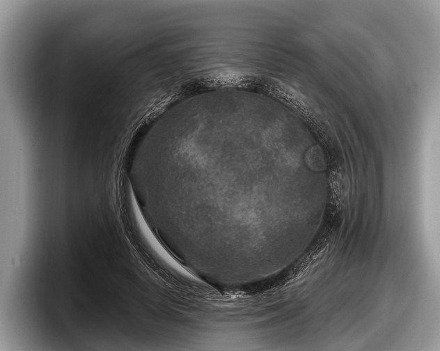 X0000097870642200803211315