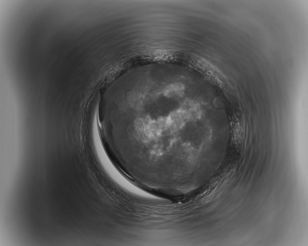 X0000097870643200803211315