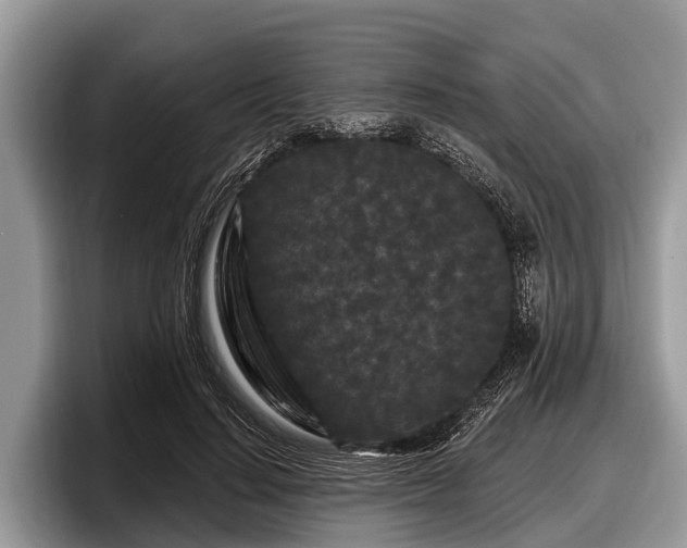 X0000097870644200803211315