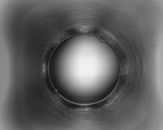 X0000097870646200803211315