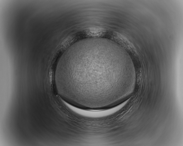X0000097870647200803211315