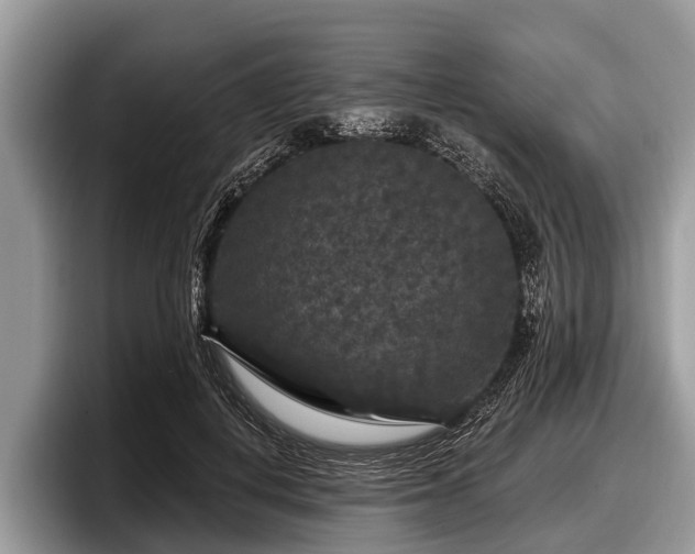 X0000097870648200803211315