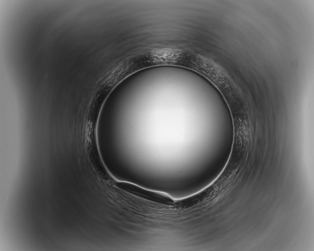 X0000097870649200803211315