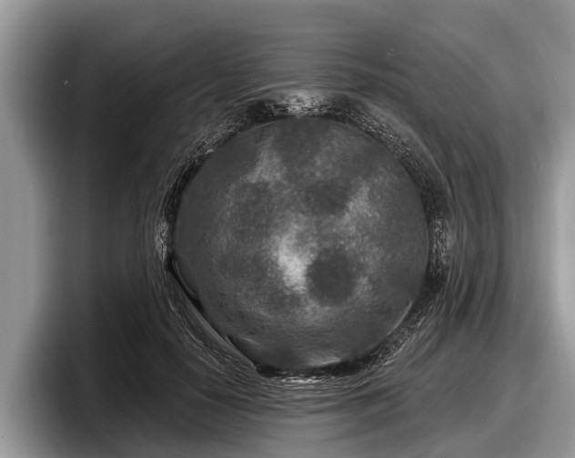 X0000097870650200803211315