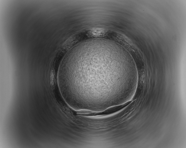 X0000097870651200803211315