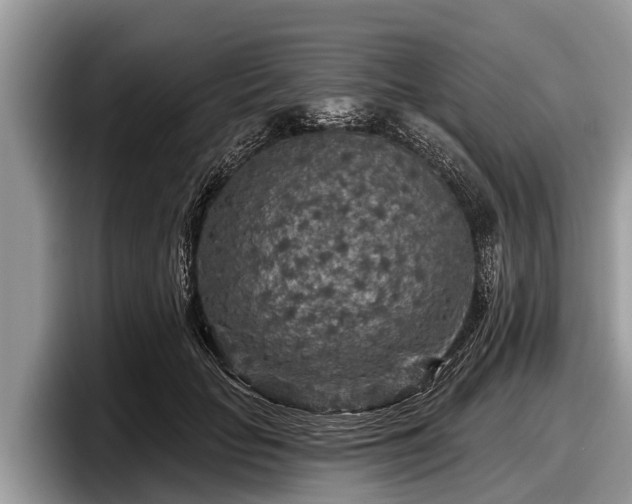 X0000097870653200803211315