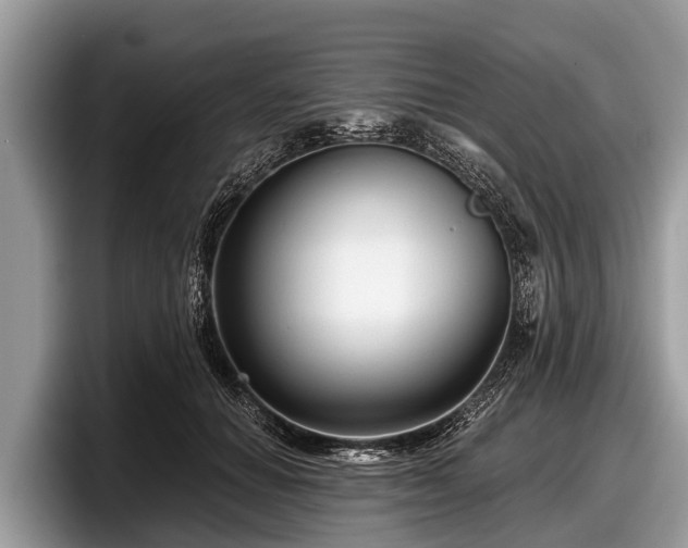 X0000097870654200803211315