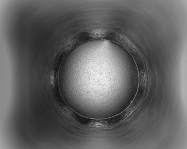 X0000097870655200803211315