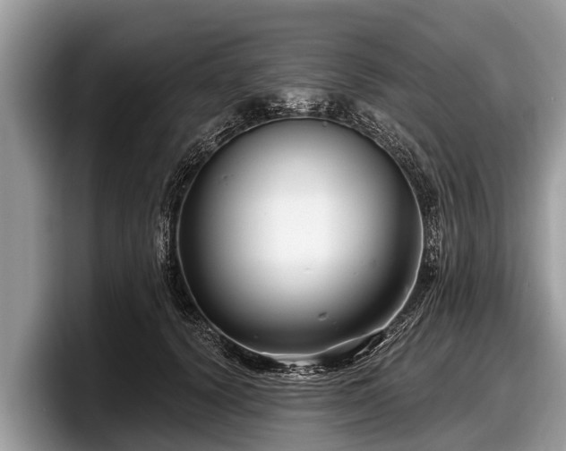 X0000097870656200803211315