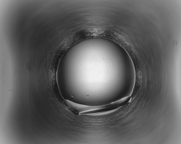X0000097870657200803211315