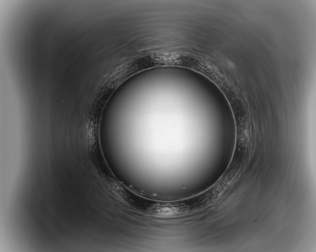 X0000097870658200803211315