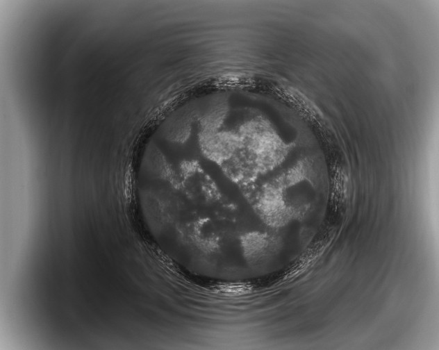 X0000097870659200803211315