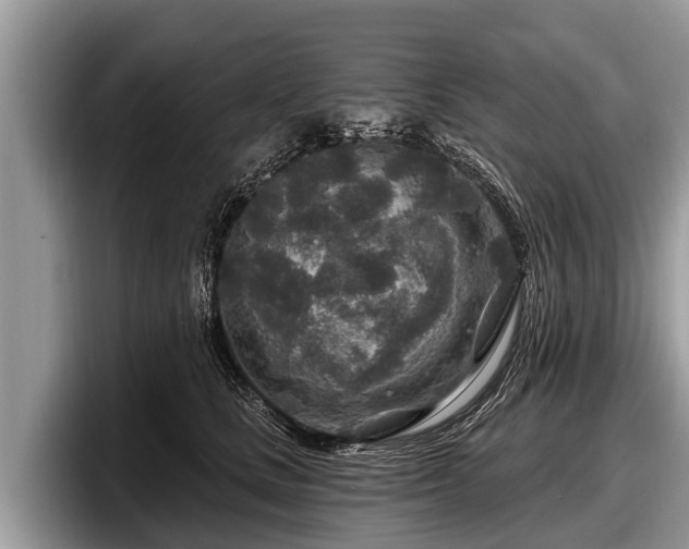 X0000097870661200803211315
