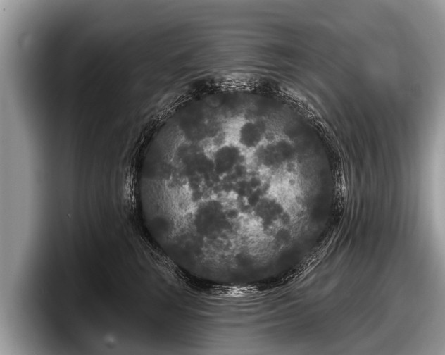 X0000097870663200803211315