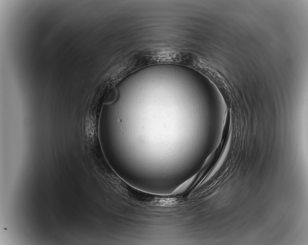X0000097870665200803211315