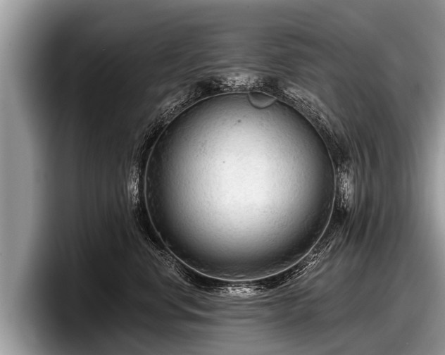 X0000097870668200803211315