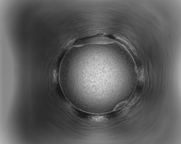 X0000097870669200803211315