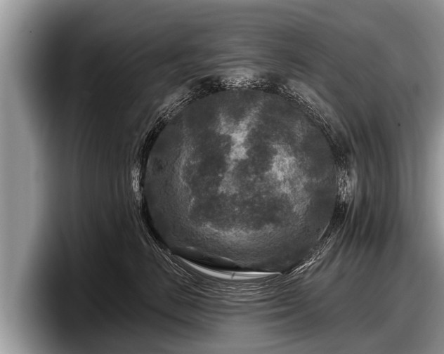 X0000097870670200803211315