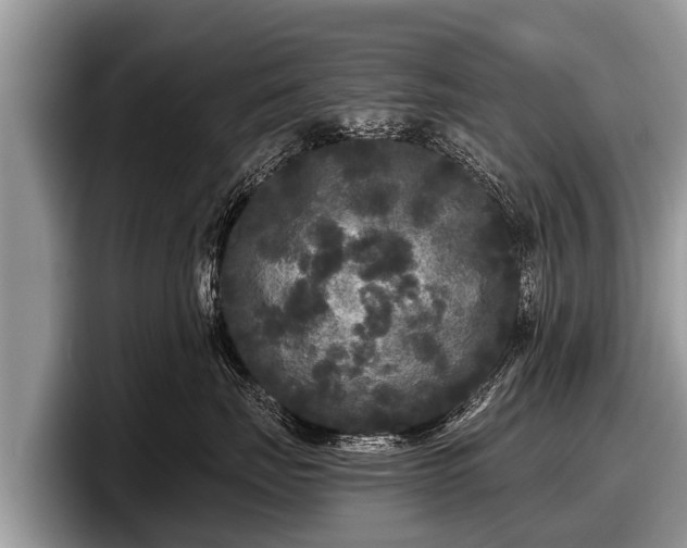 X0000097870671200803211315