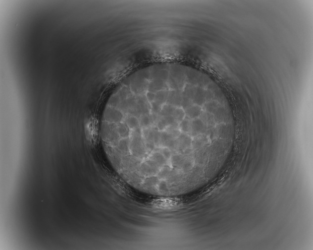 X0000097870672200803211315